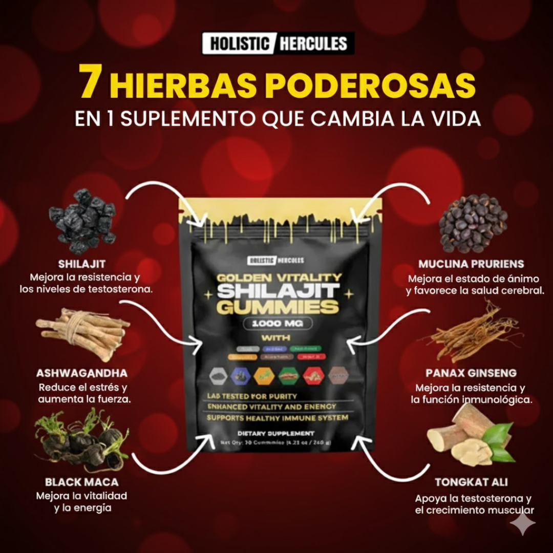 Gomas de Shilajit 60 UNI - Compre 30 y llévese 60